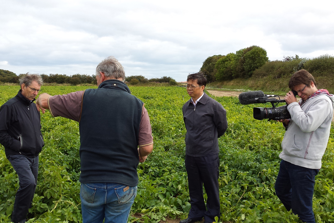 Filming How Scotland Works in tattie field with Dr Xu-web720x1080U100